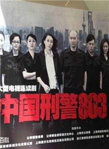 中国刑警803