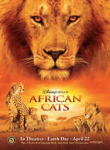 非洲猫科:勇气国度
