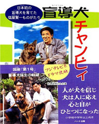 谢谢你！强皮日本首只导盲犬诞生的故事