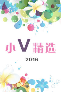小V精选2016