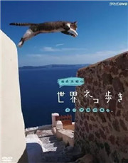 岩合光昭の猫步走世界~冲绳篇~