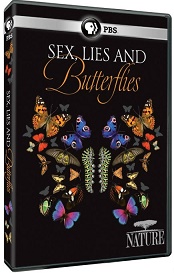 性感谎言和蝴蝶