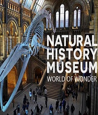 英国自然历史博物馆：神奇世界第一季
