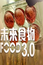 未来食物3.0粤语