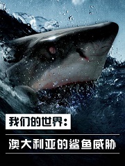 我们的世界：澳大利亚的鲨鱼威胁