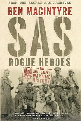 SAS：叛逆勇士第一季