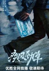 疾风劲草