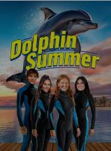 海豚之夏