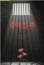 牵牛花开